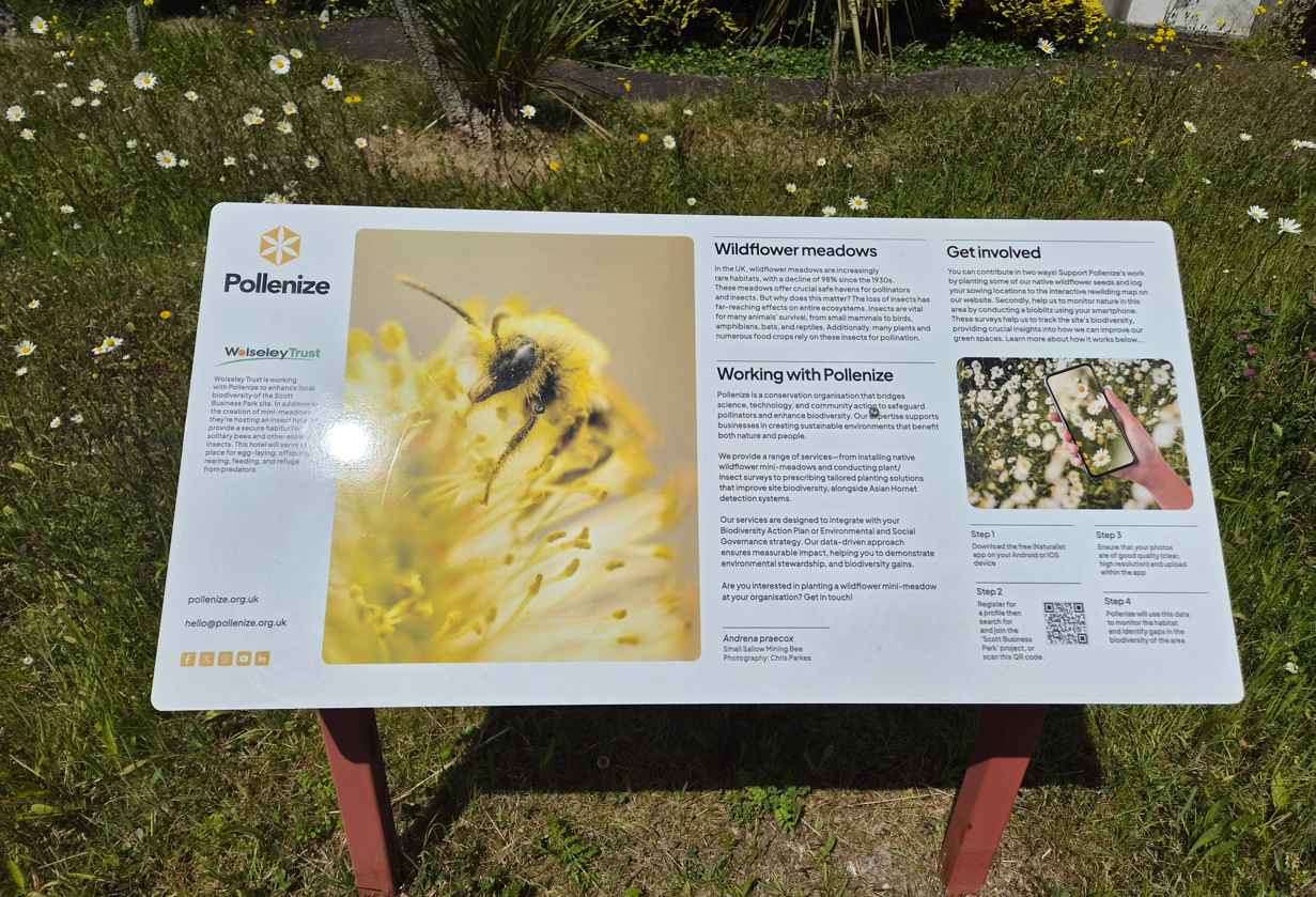 SBP Bee 2
