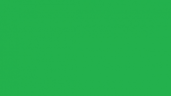 Healthy Futures Counselling Service